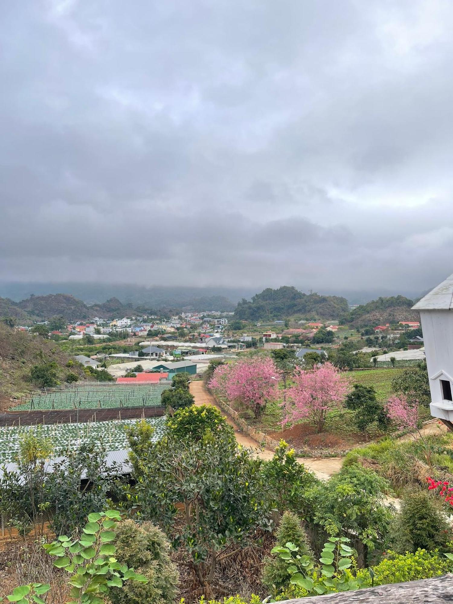 Doi Thong Homestay Moc Chau - By Bay Luxury Son La Zewnętrze zdjęcie